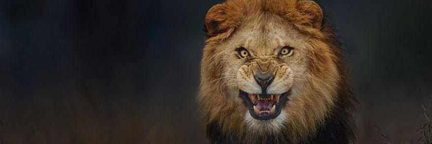 DKaretas's profile banner image