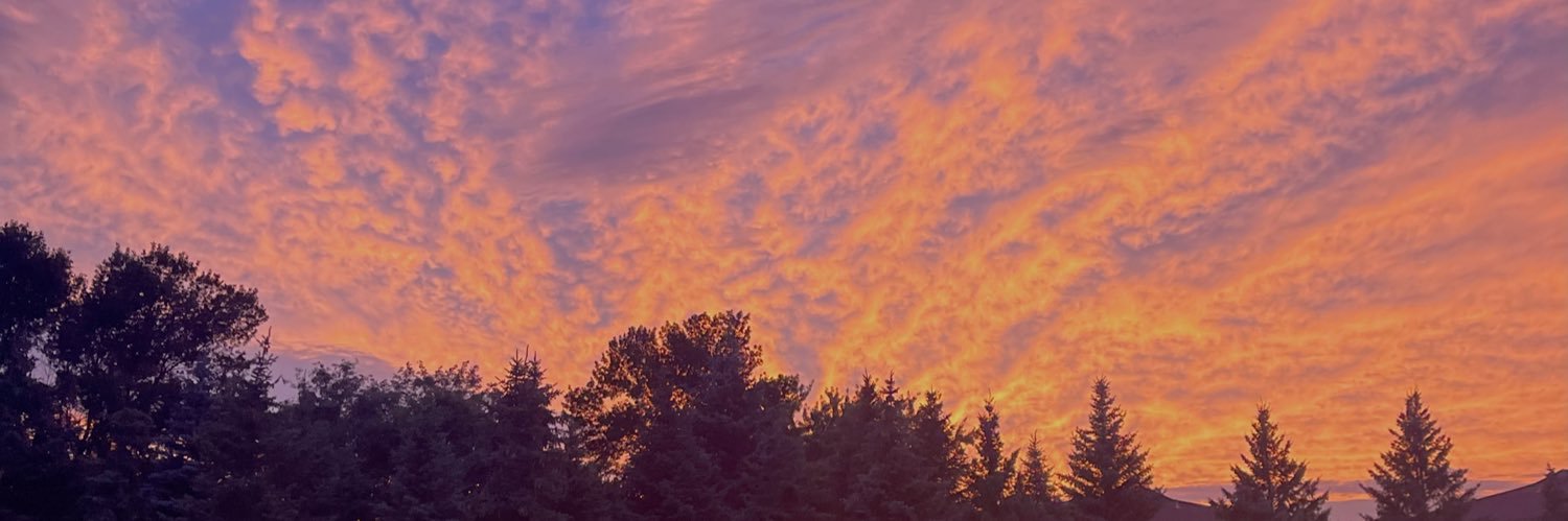 DPetsinger's profile banner image