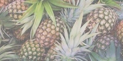 JackDailCS's profile banner image