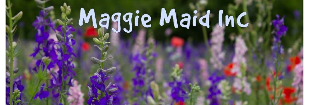 MaggieMaidTx's profile banner image