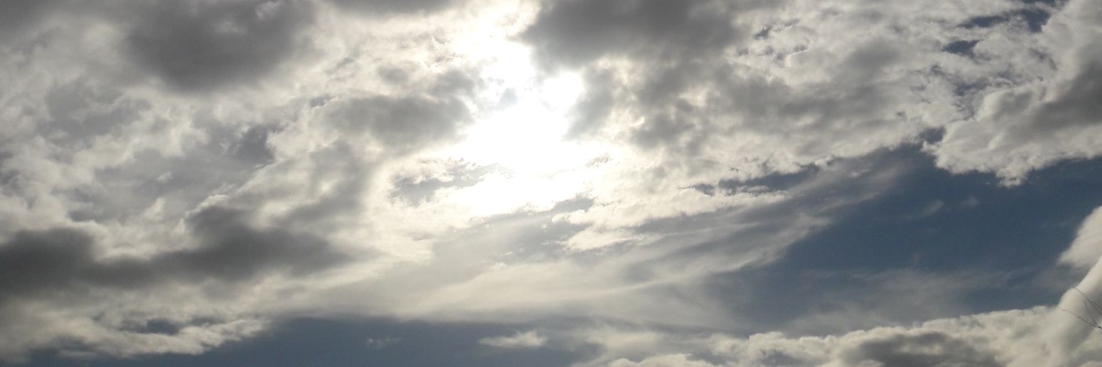 shontrah1's profile banner image
