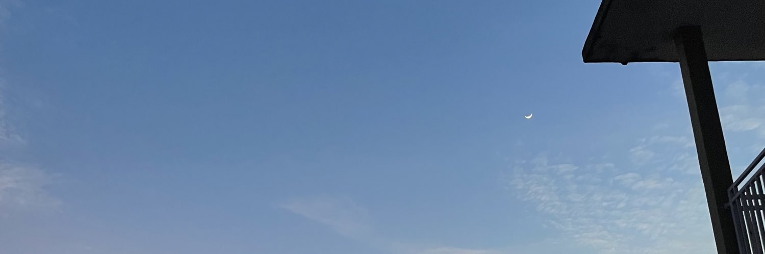 sibunDar_a's profile banner image