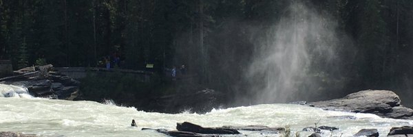 debhellis Profile Banner