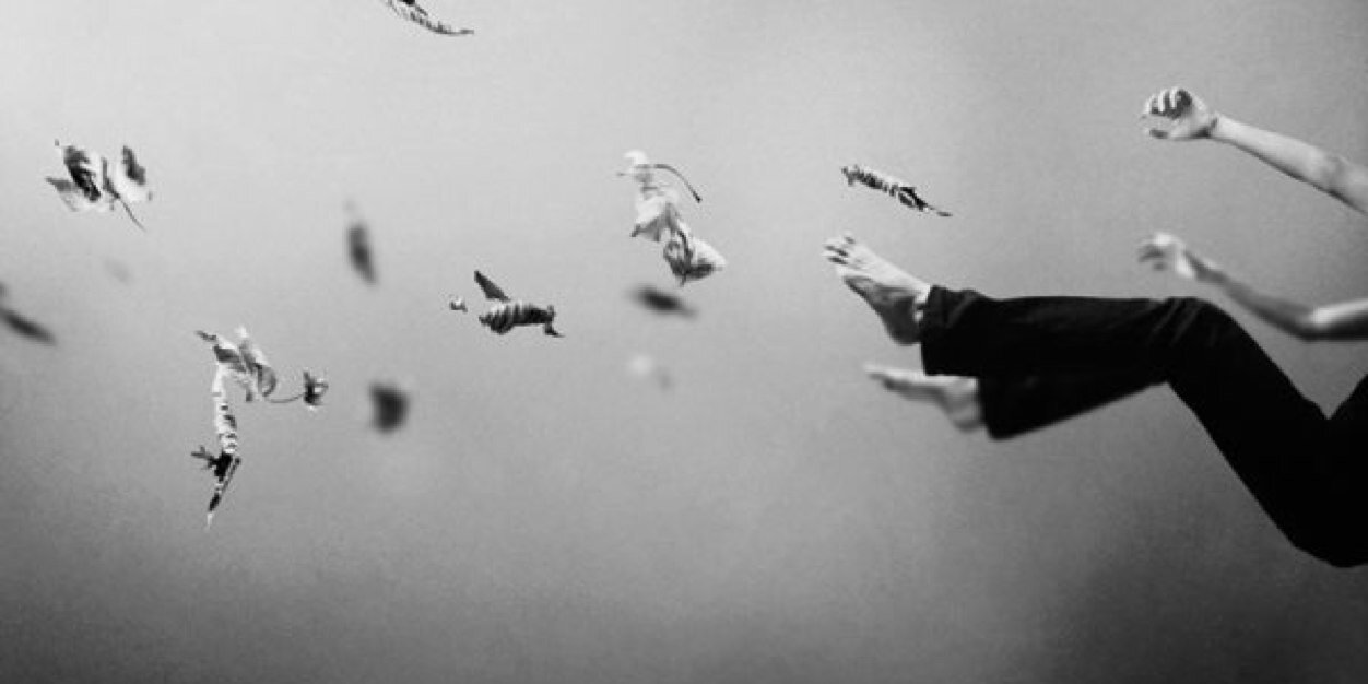 ari banner