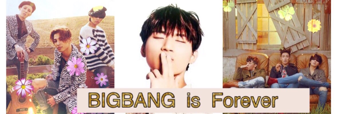 11Ariers's profile banner image