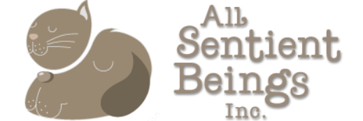 AllSentientB's profile banner image