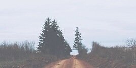 SelenaaaCS's profile banner image