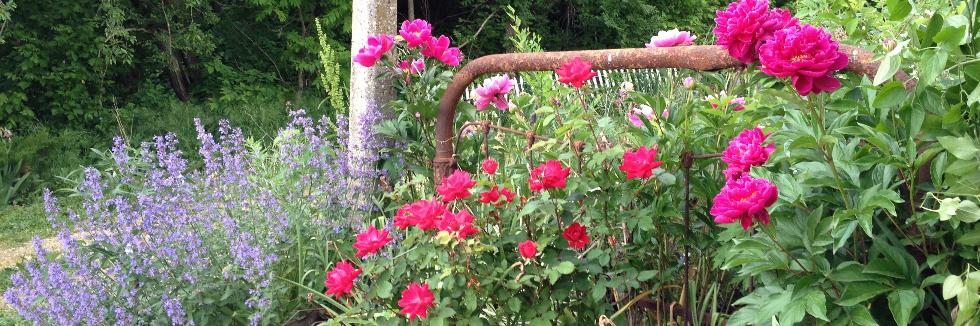 GardenerStyle's profile banner image
