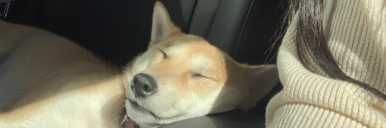 rosechanggg's profile banner image