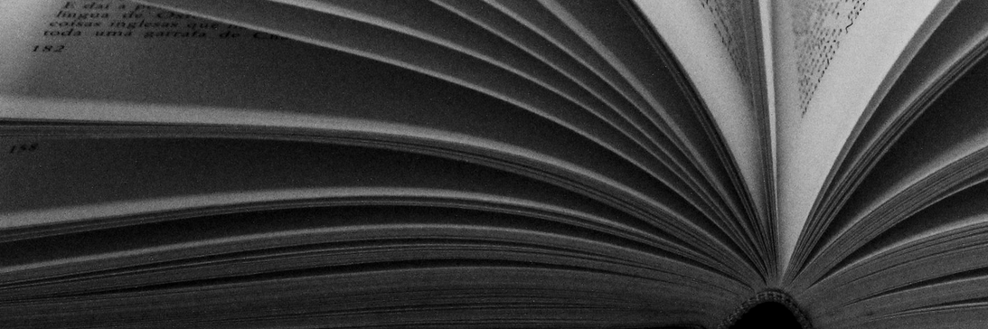 Whitney Jones, MLS banner