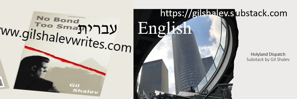 Gil Shalev banner