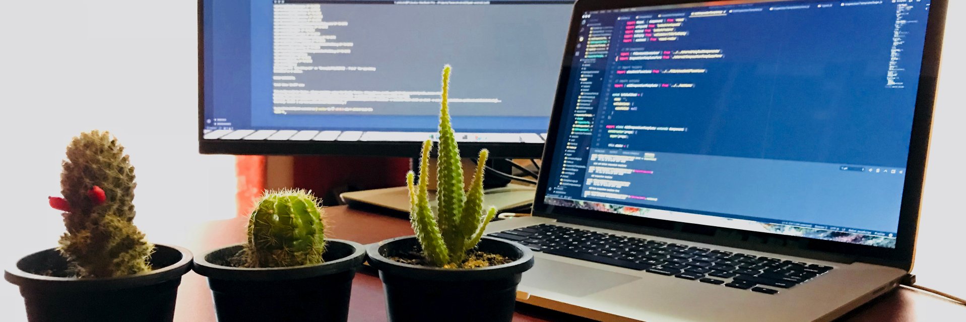 LeafyCode's profile banner image