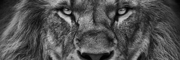 efrainoct7's profile banner image