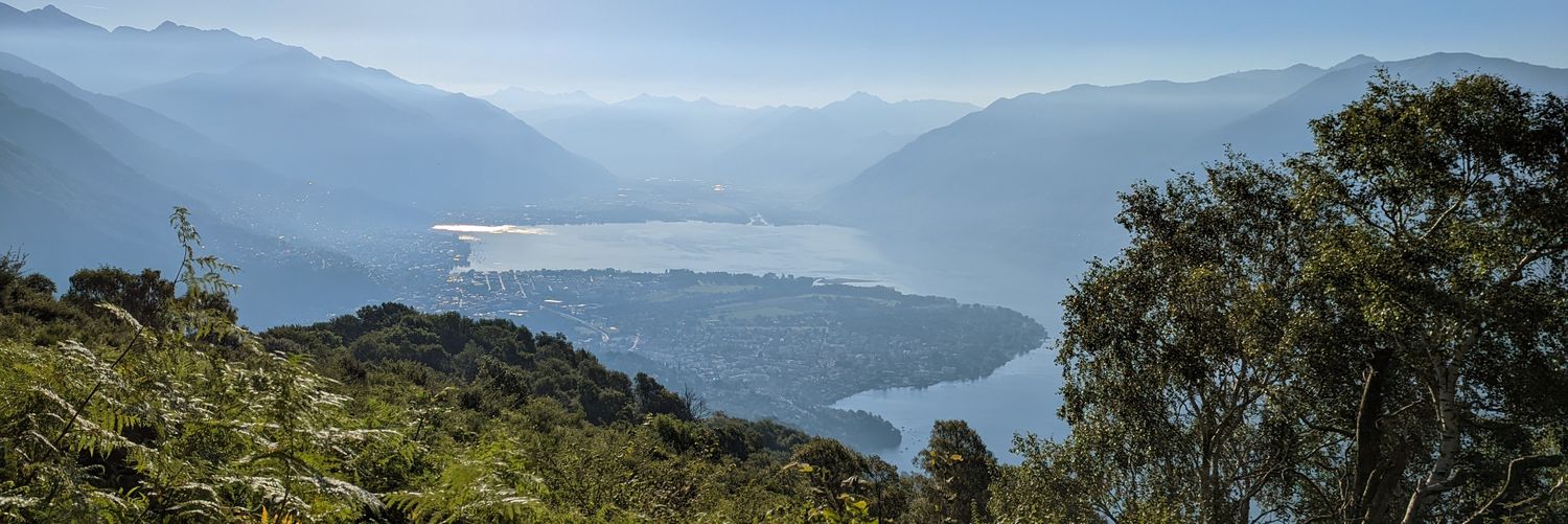 Sarah Loebman (she/her) banner