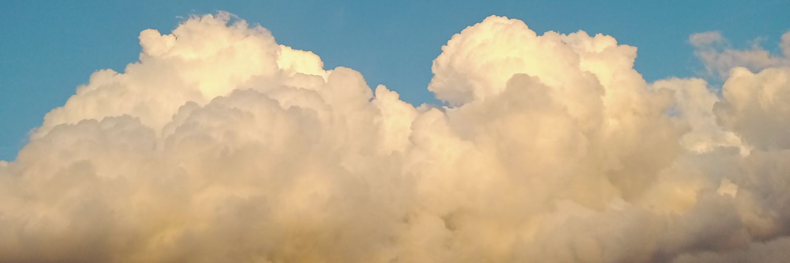 Ariisyaa_'s profile banner image