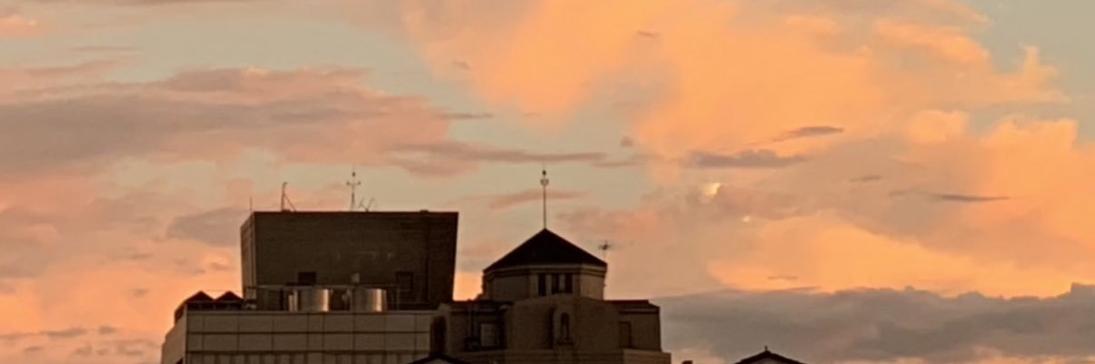 LxAllison's profile banner image