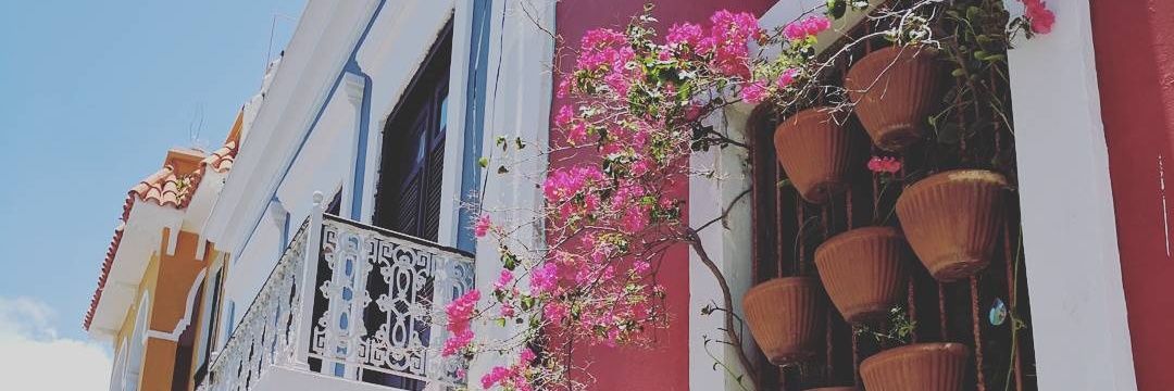 JillianShue's profile banner image