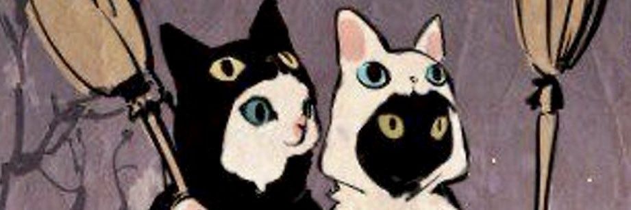 stankovicordia's profile banner image