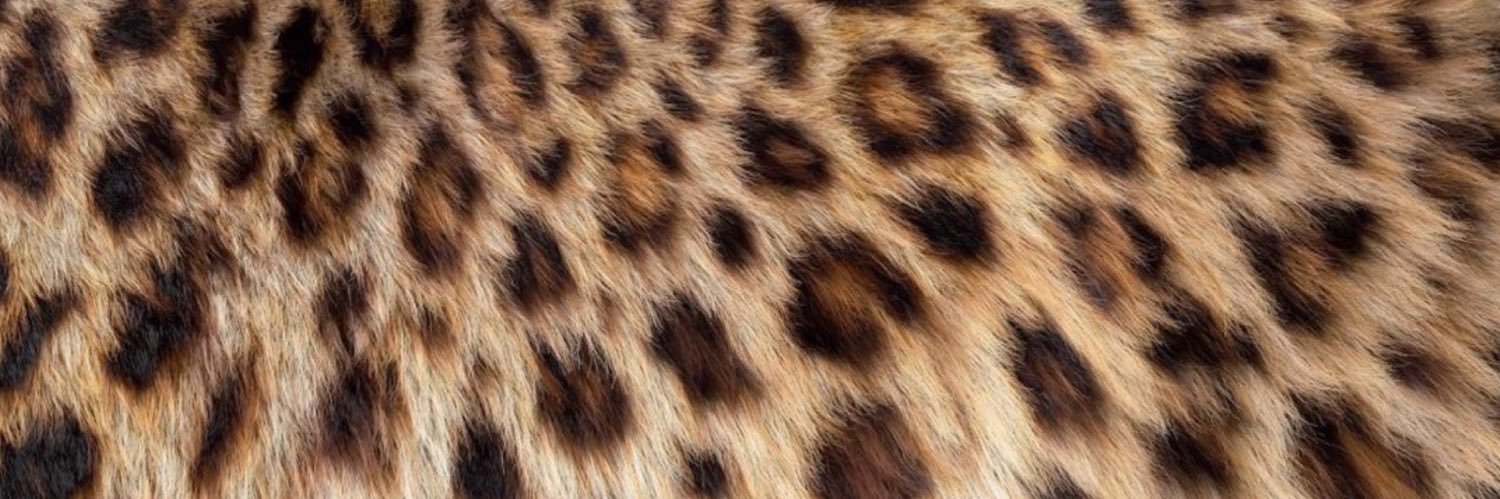 itbkass's profile banner image