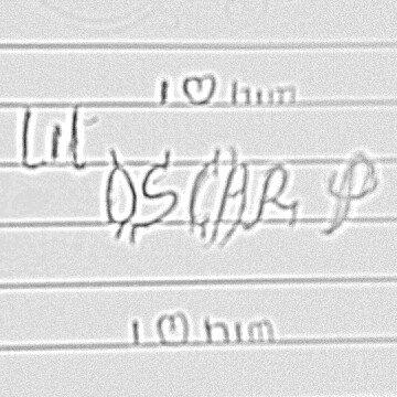 Lilu p banner