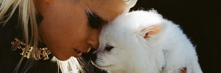 cockprock's profile banner image