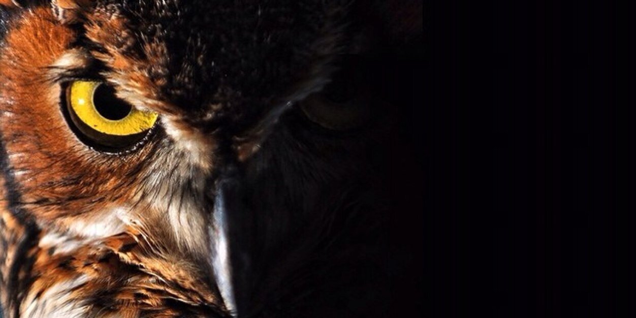 Roofeo6's profile banner image