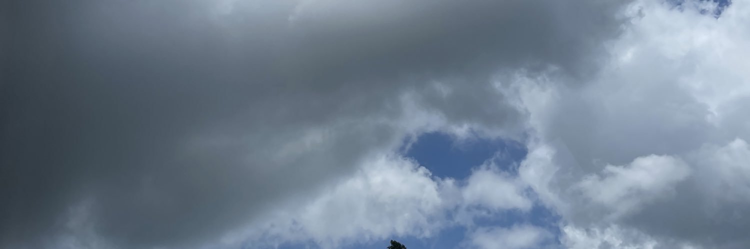 Muneemji banner