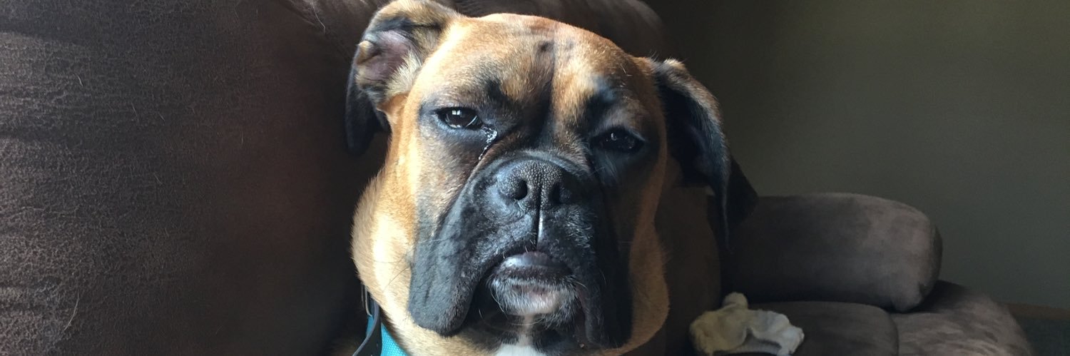 CostlyDavis's profile banner image