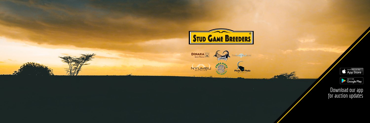 Stud Game Breeders banner