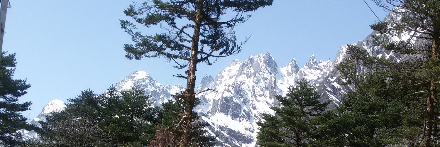 BankerBikash's profile banner image