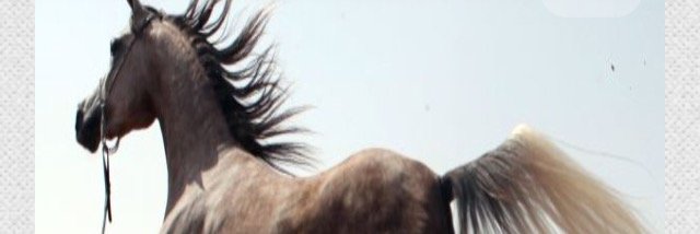 q8khail's profile banner image