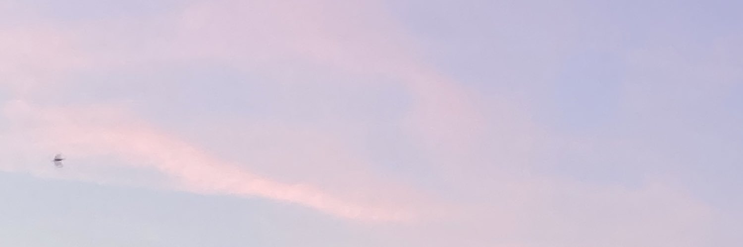 spaceboyslh's profile banner image