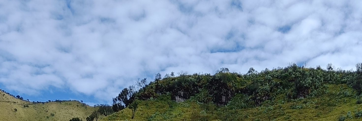 acilhandika's profile banner image