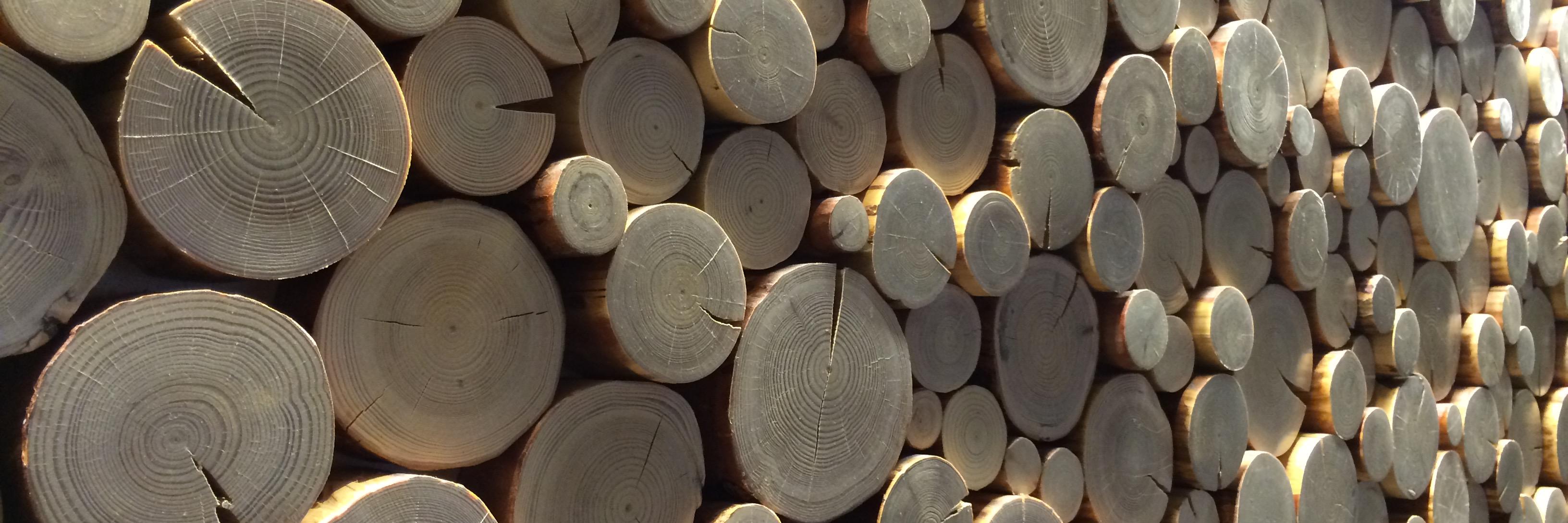 Eric Corey Freed banner