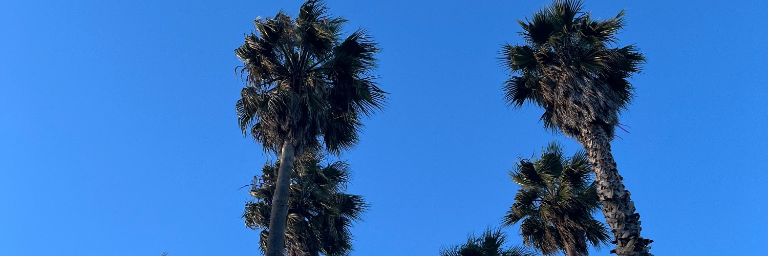 PurplesMajesty's profile banner image