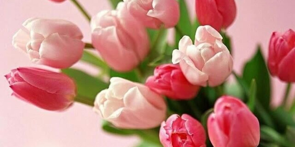 saharalsahar's profile banner image