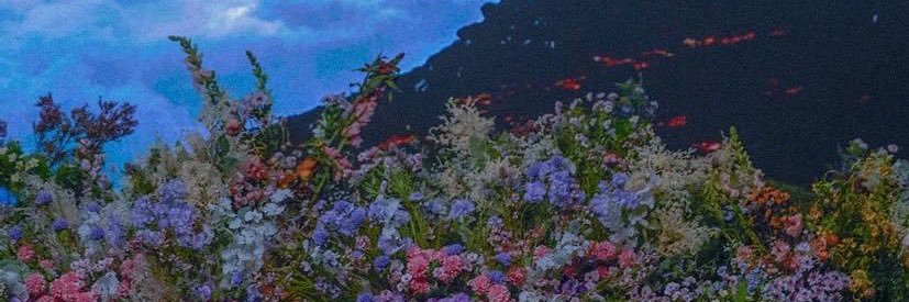 Kuma__0430's profile banner image