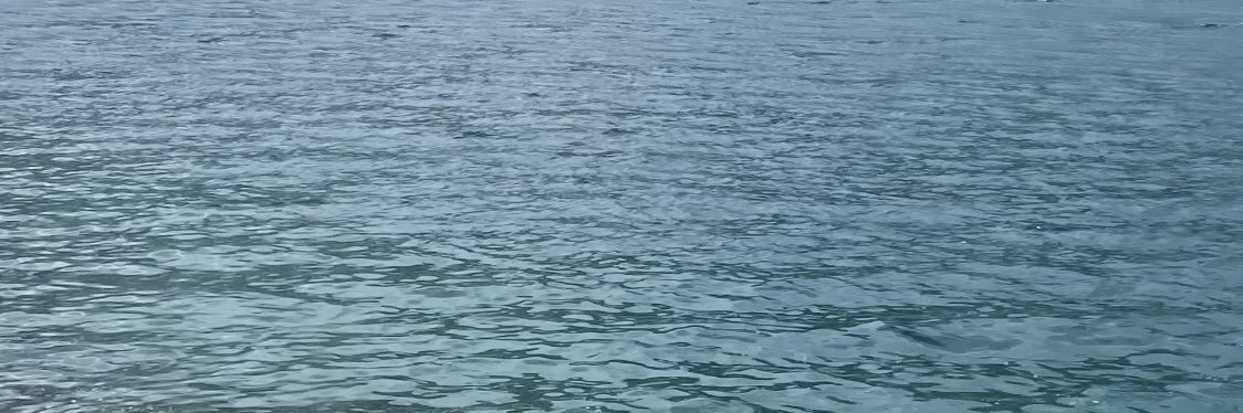ktlnapeters's profile banner image
