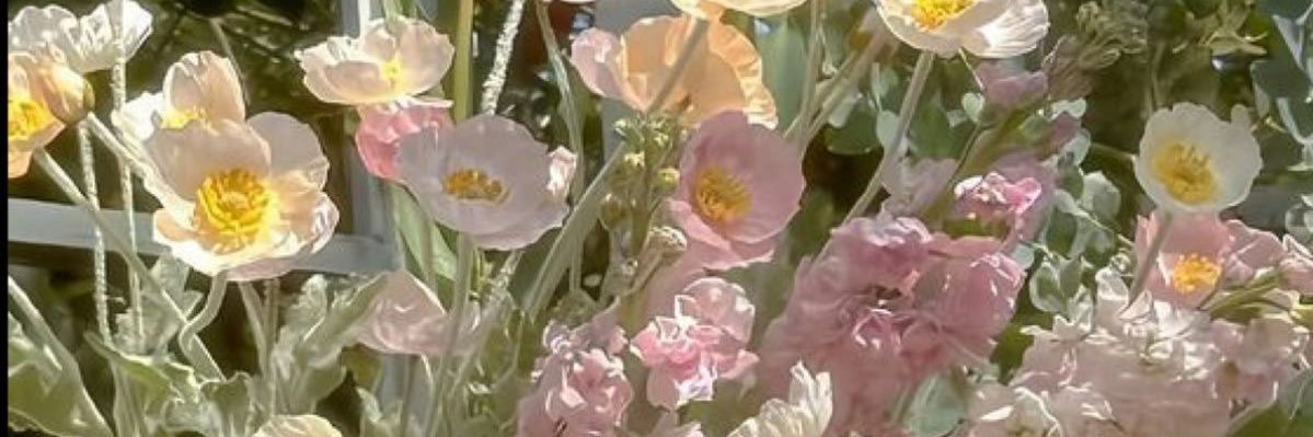 MayestikaJ's profile banner image