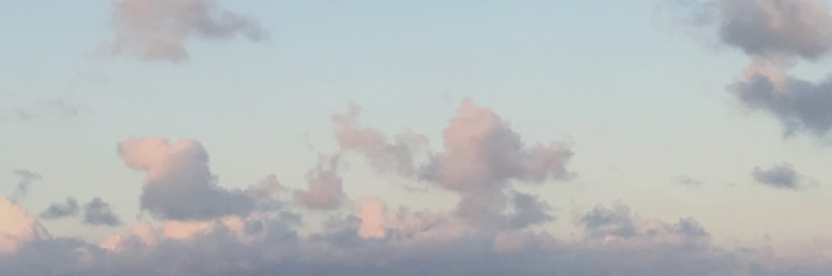 Iara_Boson's profile banner image