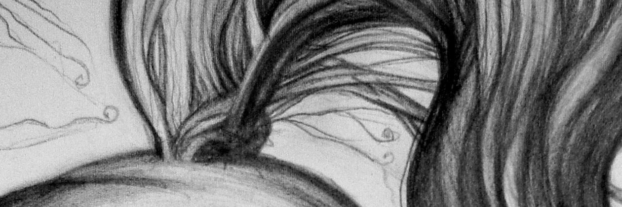 florencemarcea1's profile banner image