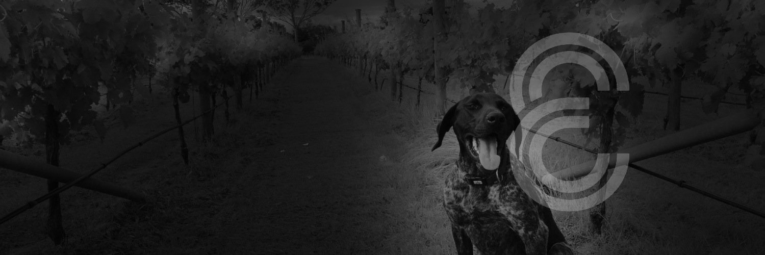 elementwines's profile banner image