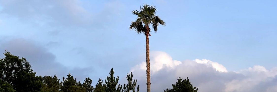 quarterbefore1's profile banner image