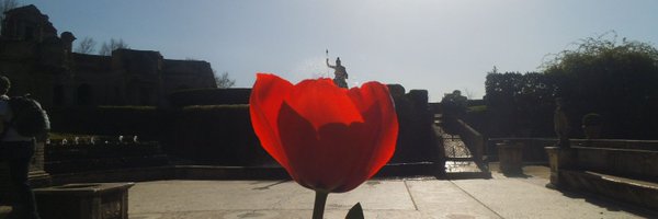 FlaurosSH Profile Banner