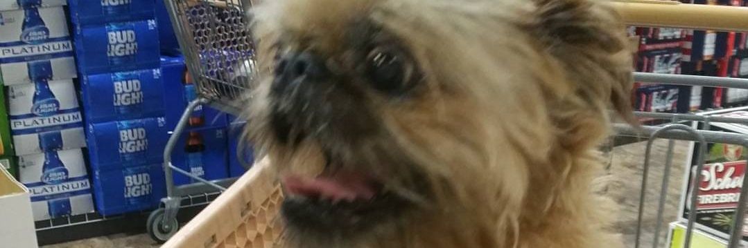 ChaDiddyH's profile banner image