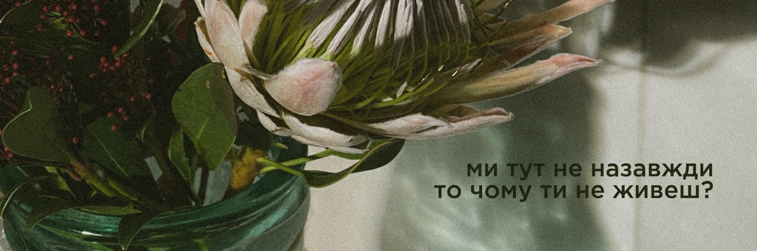 tepla_rika's profile banner image