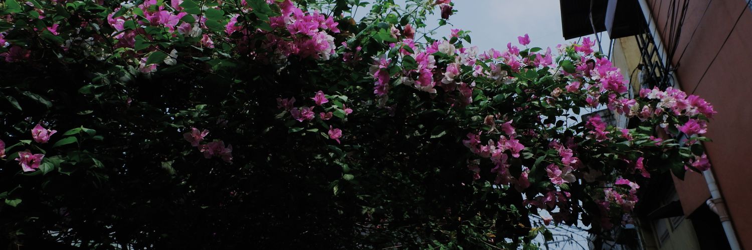 Lalancesones's profile banner image