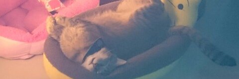 heynimko's profile banner image
