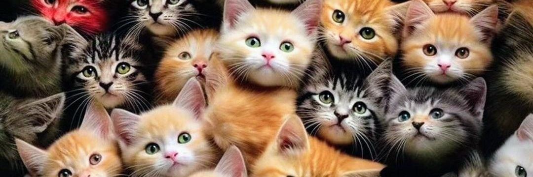 alexiscs75's profile banner image
