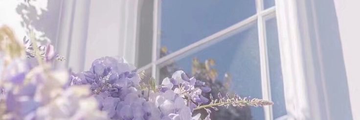 crepemacha's profile banner image